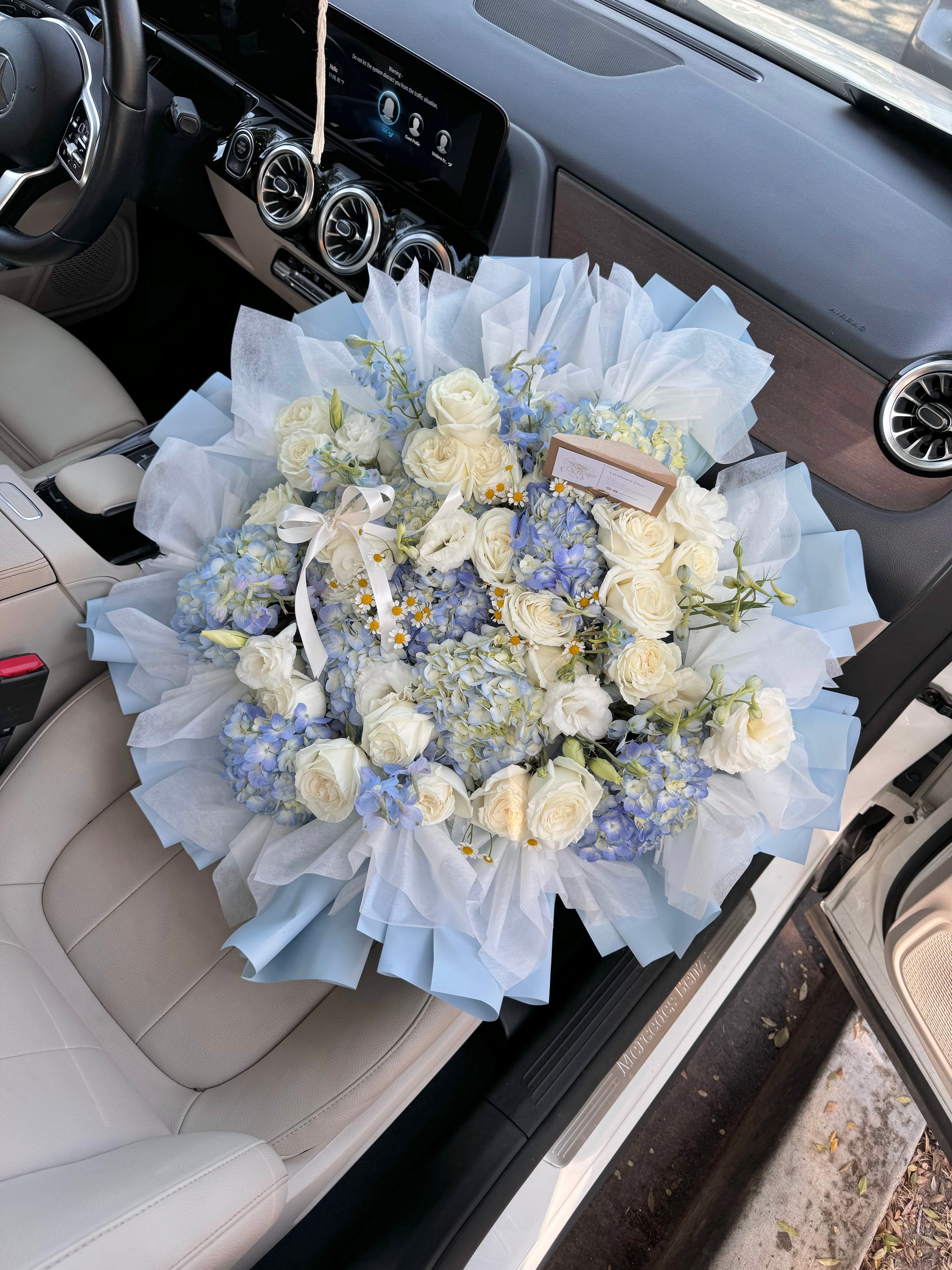 Cool Blue